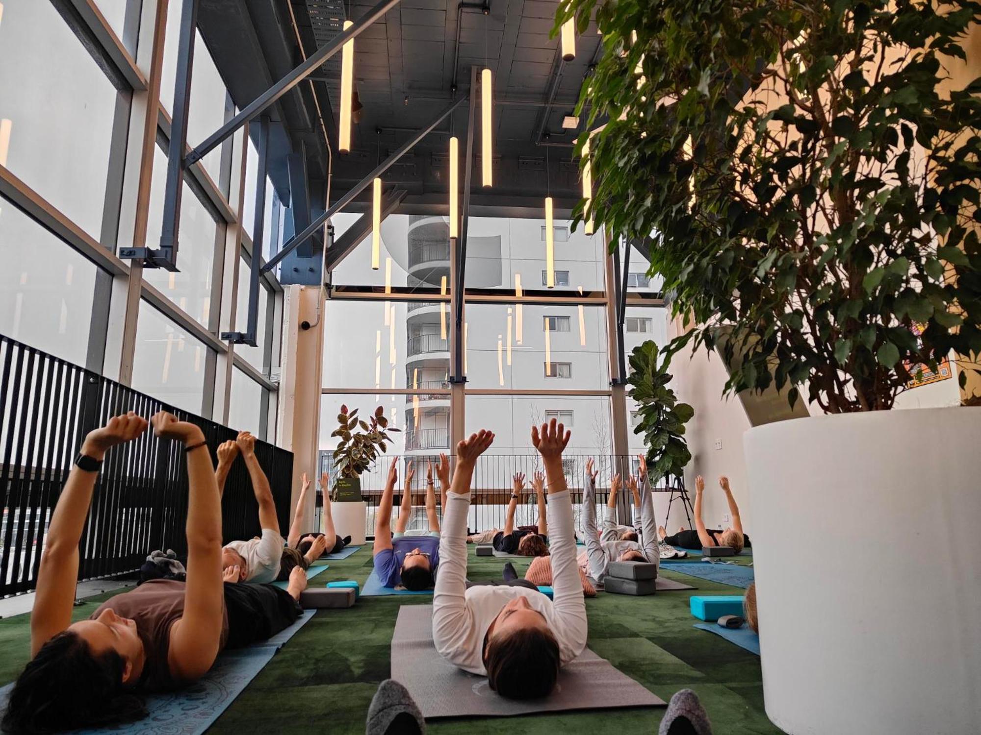 Lylo Auckland Hotel Exteriör bild A yoga class at the Googleplex